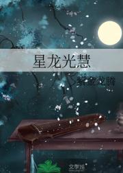 星龙光慧