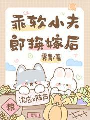 乖软小夫郎换嫁后