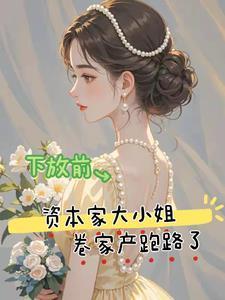 京极家的野望防盗